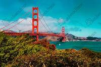 California (3)
