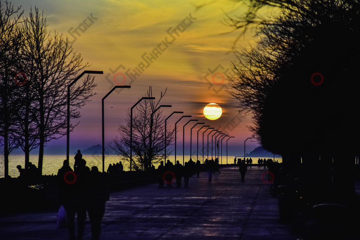 Sunset on Shore