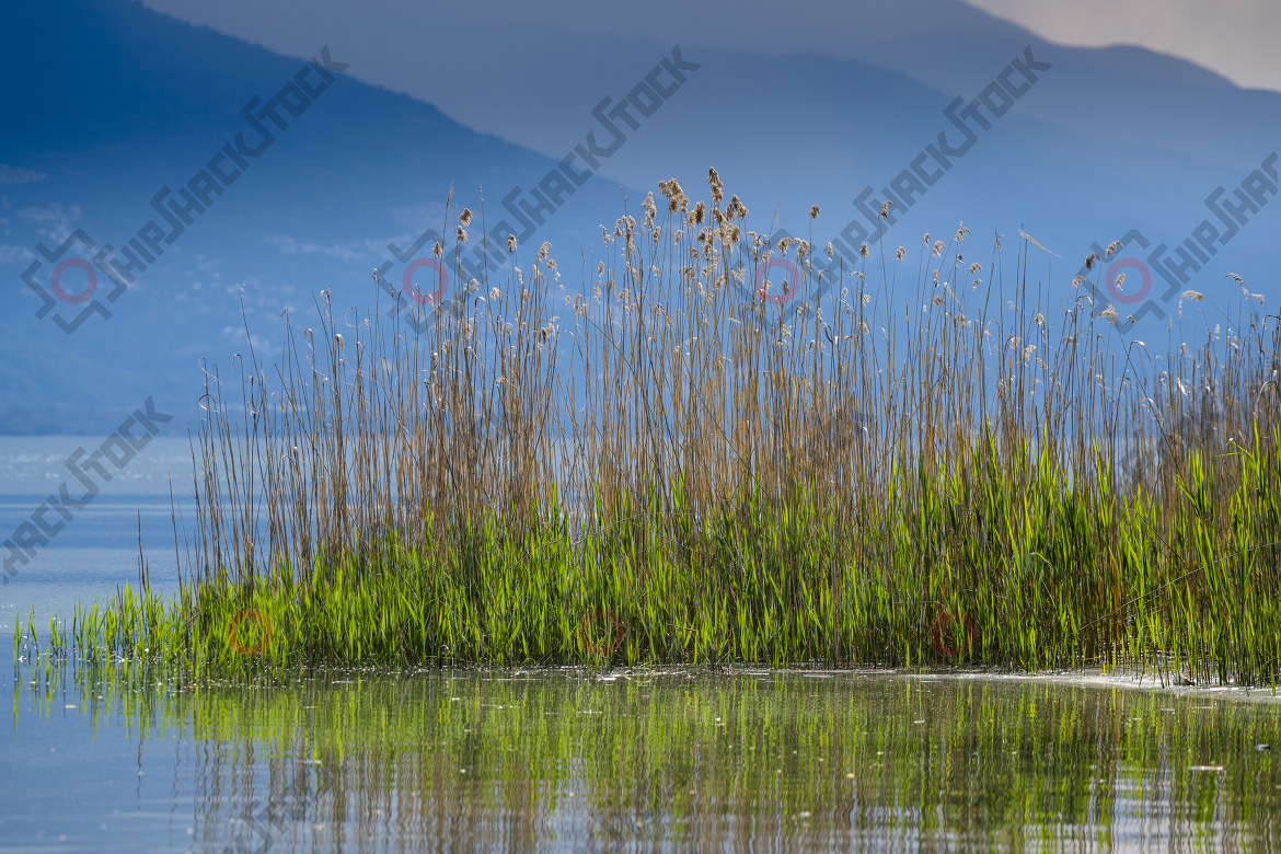 Lake of Sapanca