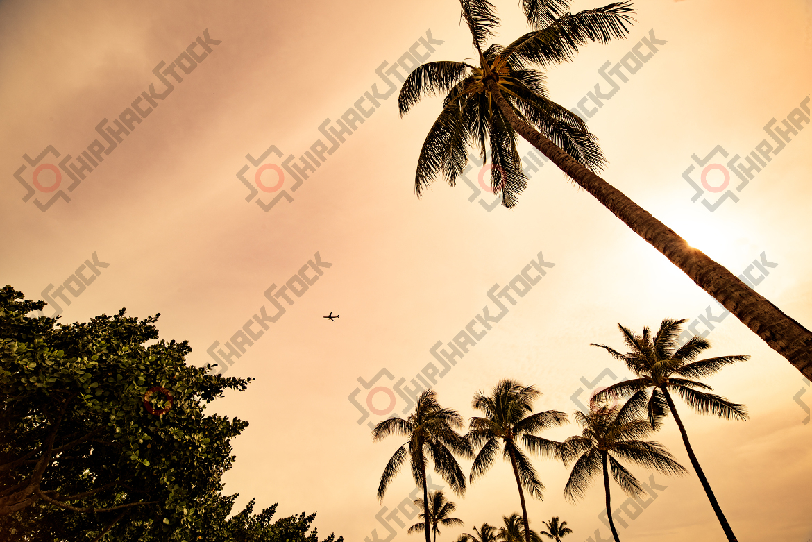 Golden Hours, Hawaii