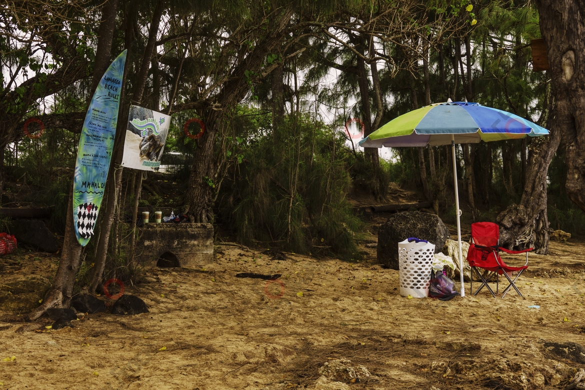 Laniekea Beach