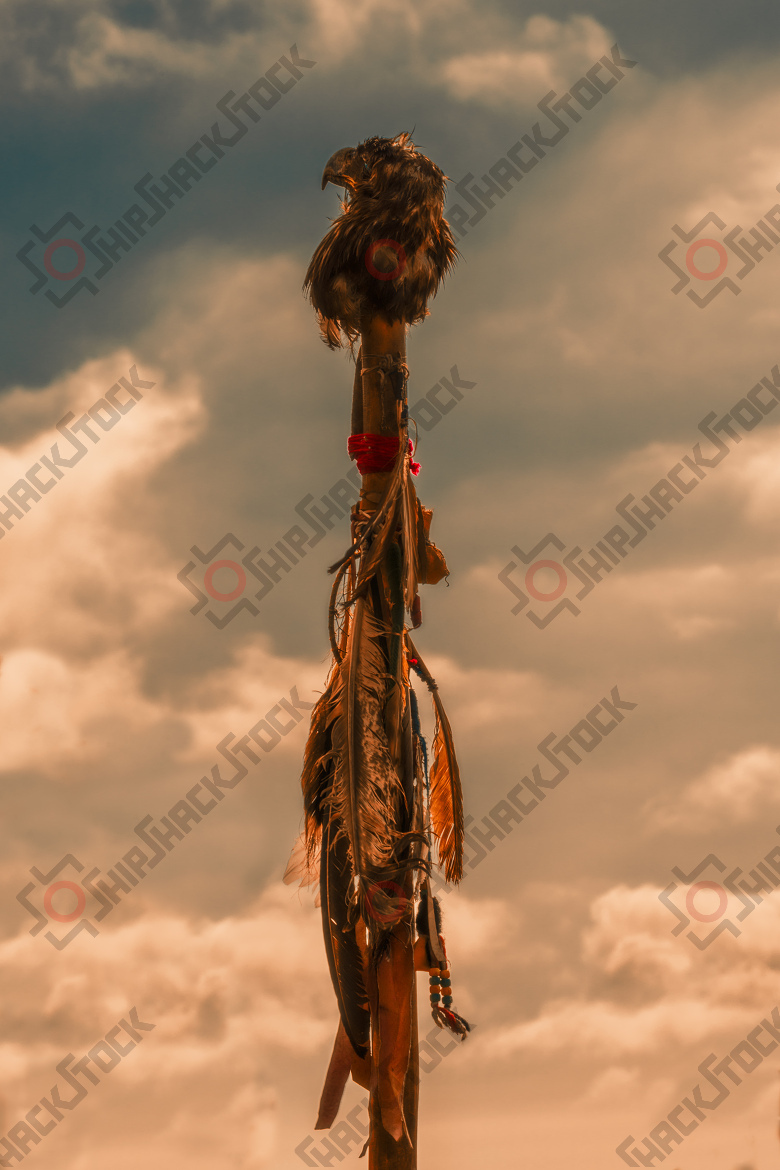Eagle Feather