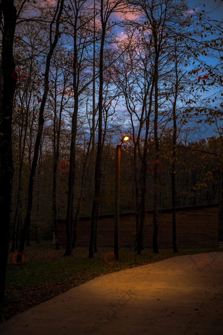 Autumn evening