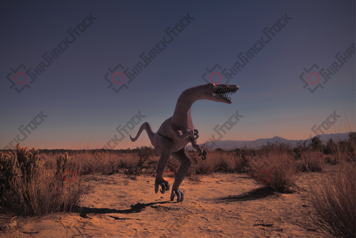 Baby Spinosaurus