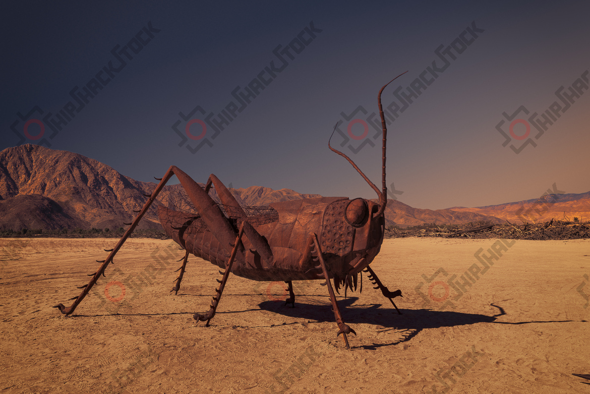 Grasshopper