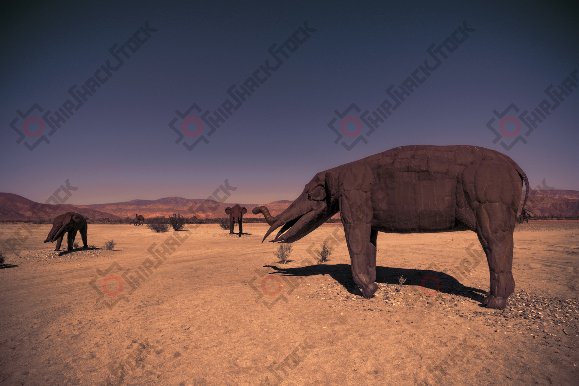 The Mammoth
