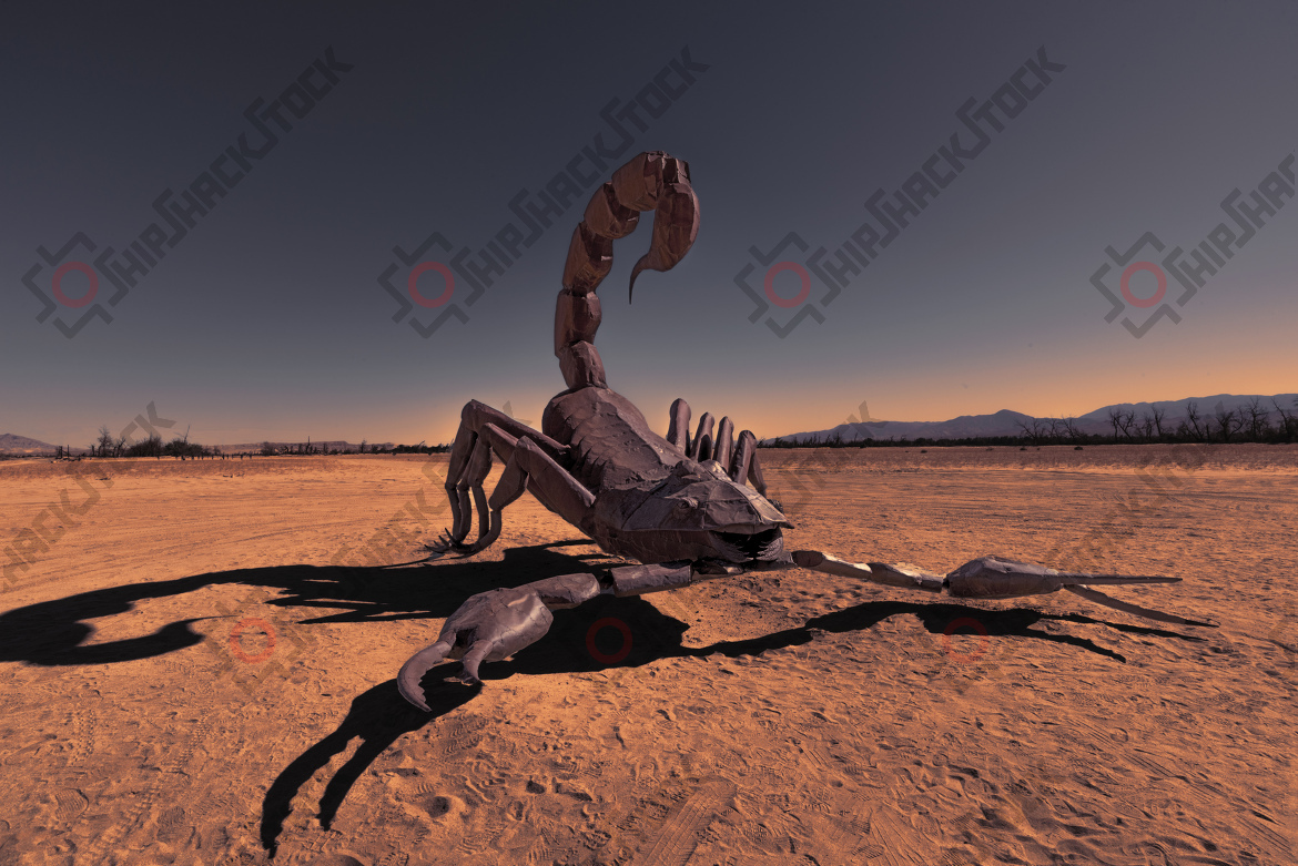 The Scorpion
