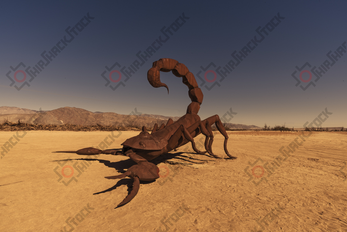The Scorpion